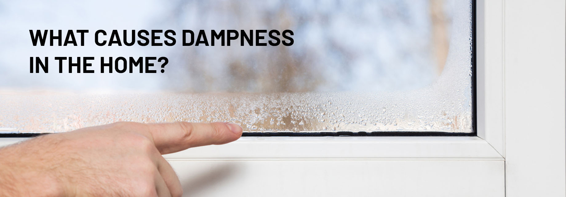 What causes dampness in the home and what can you do about it?